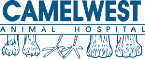 Camelwest Animal Hospital