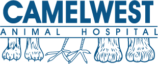 Camelwest Animal Hospital