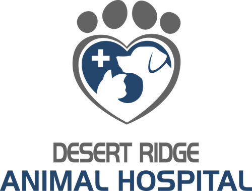 Desert Ridge Animal Hospital