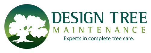 Design Tree Maintenance