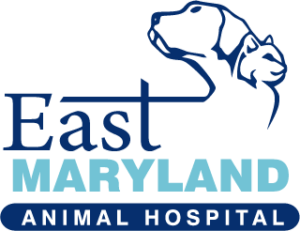 East Maryland Animal Hospital