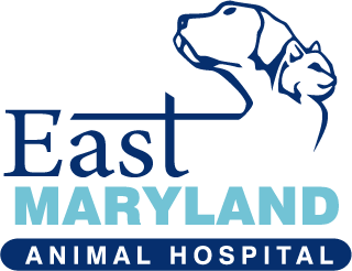 East Maryland Animal Hospital