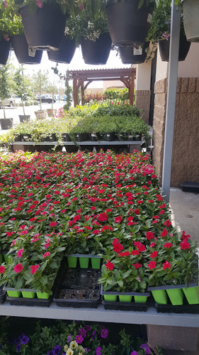 Garden Center at The Home Depot