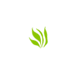 Health for Life Naturopathic Medicine