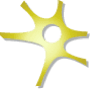 Neurodiagnostic Laboratories