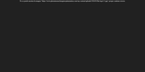 Phoenix SEO Company, LHI
