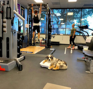 T.O.P.S. Physical Therapy